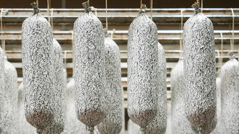 Manufacturing & Wholesale