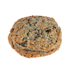 A blueberry scone